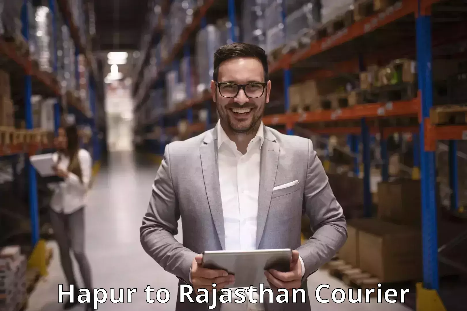 Professional courier handling Hapur to Rajasthan