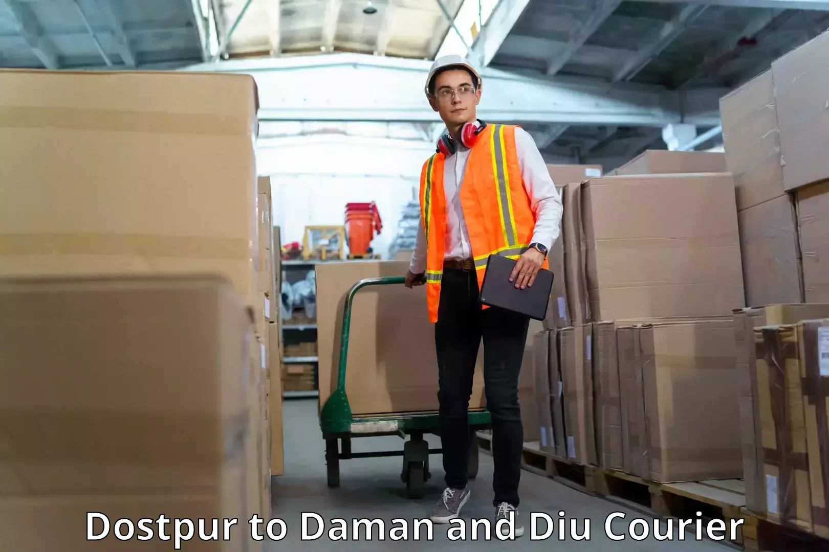 Multi-national courier services Dostpur to Daman