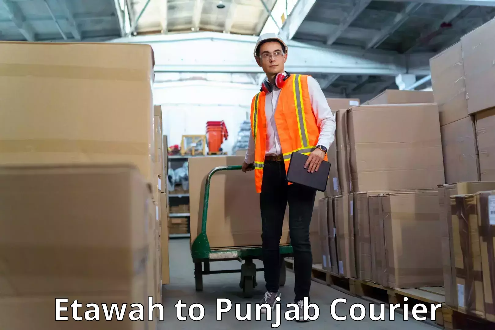 Efficient order fulfillment Etawah to Nabha