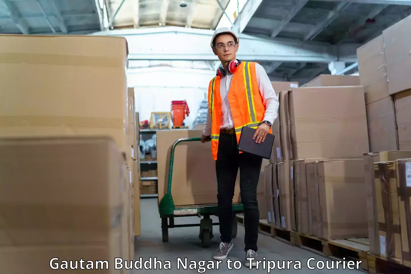 Expedited parcel delivery in Gautam Buddha Nagar to North Tripura