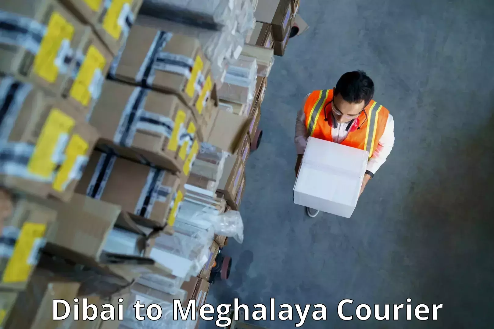 Reliable package handling in Dibai to Meghalaya