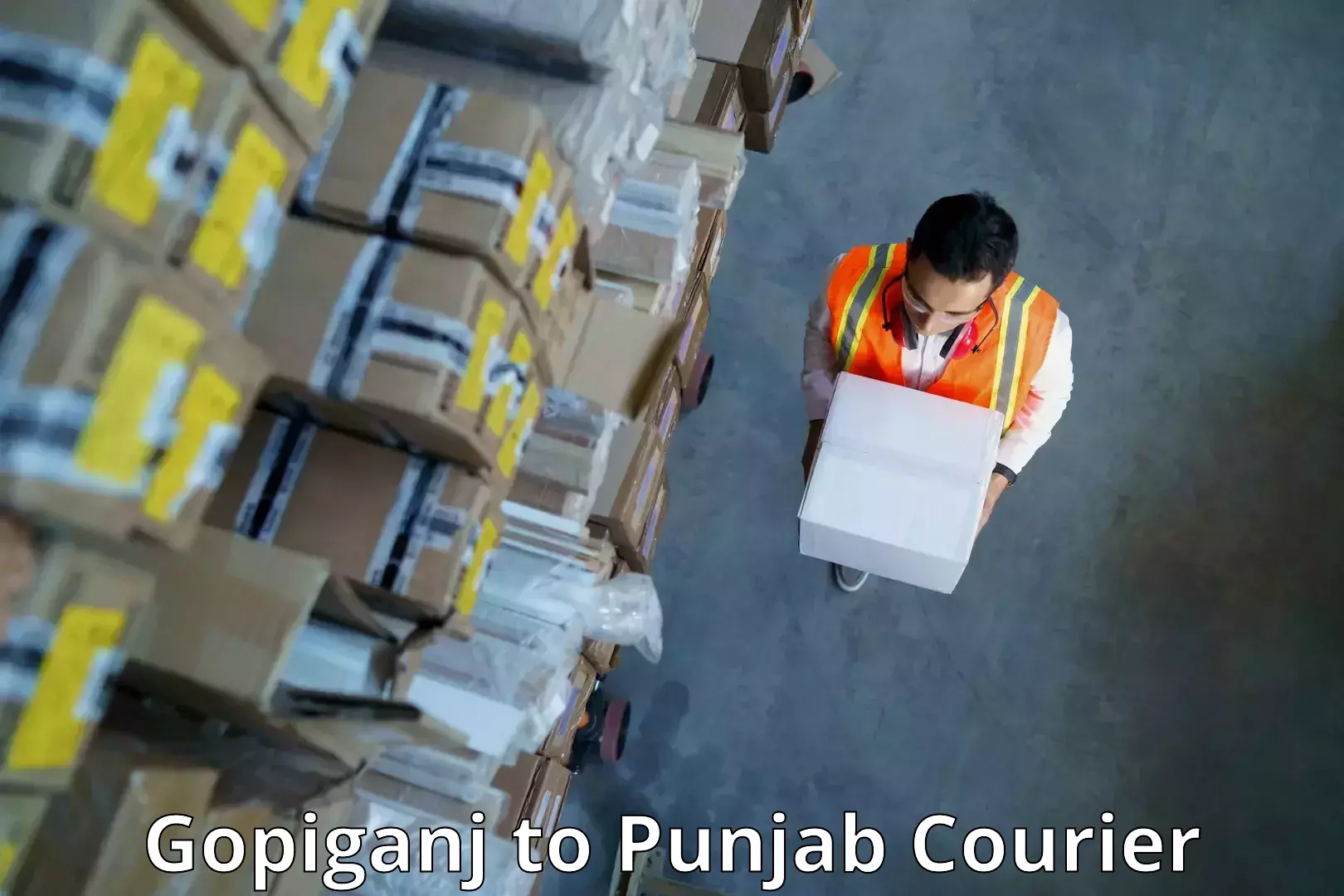 Courier app Gopiganj to Punjab