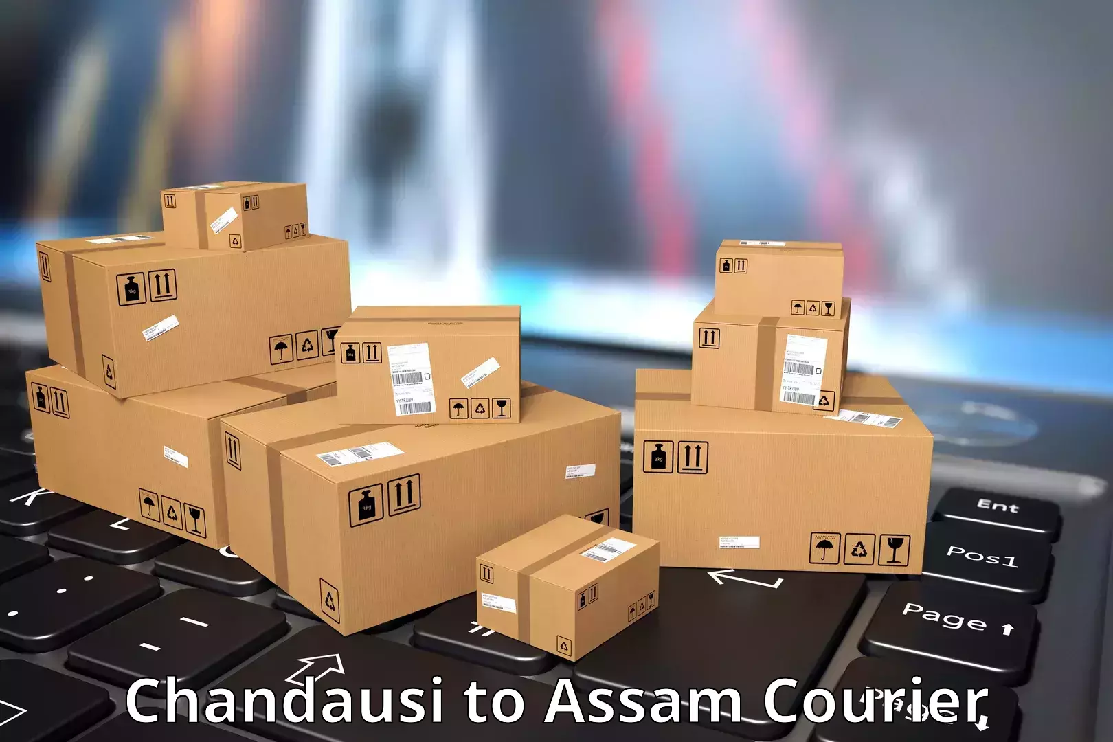Custom courier packages Chandausi to Lalapur Hailakandi