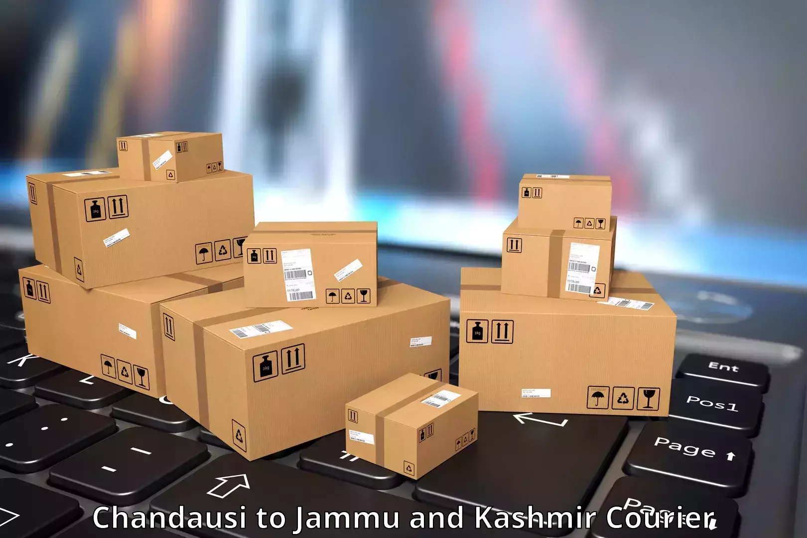 Easy access courier services Chandausi to Jammu and Kashmir