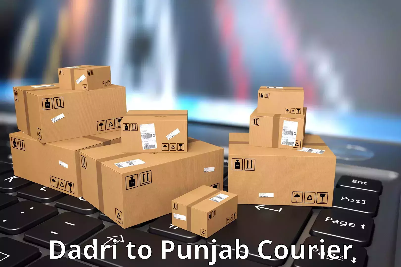 Courier service comparison Dadri to Punjab