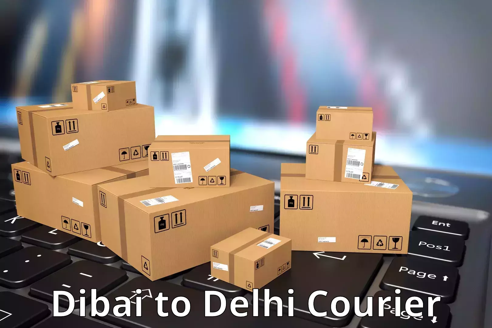 Courier app Dibai to Guru Gobind Singh Indraprastha University New Delhi