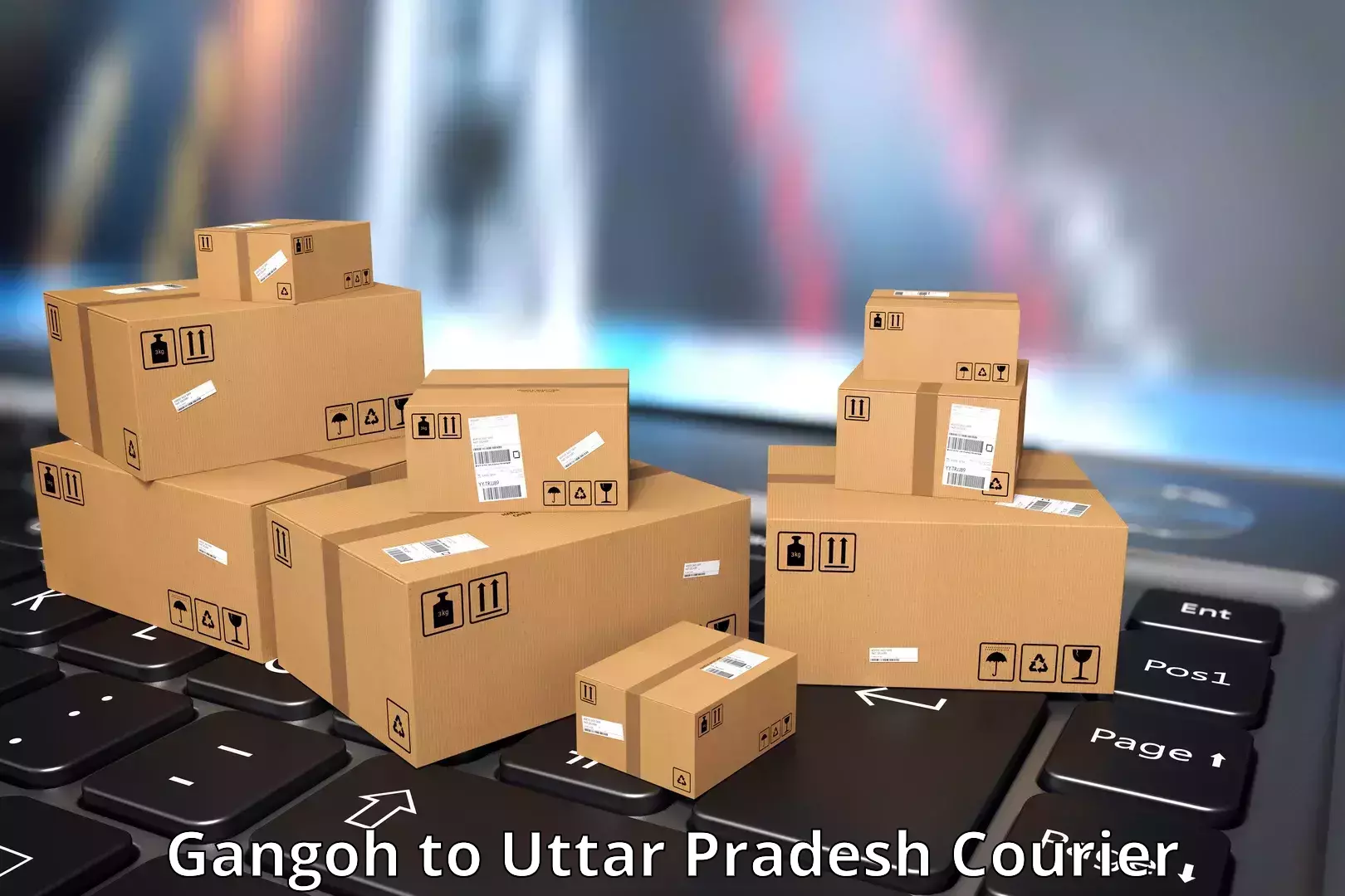 Punctual parcel services in Gangoh to Sahatwar