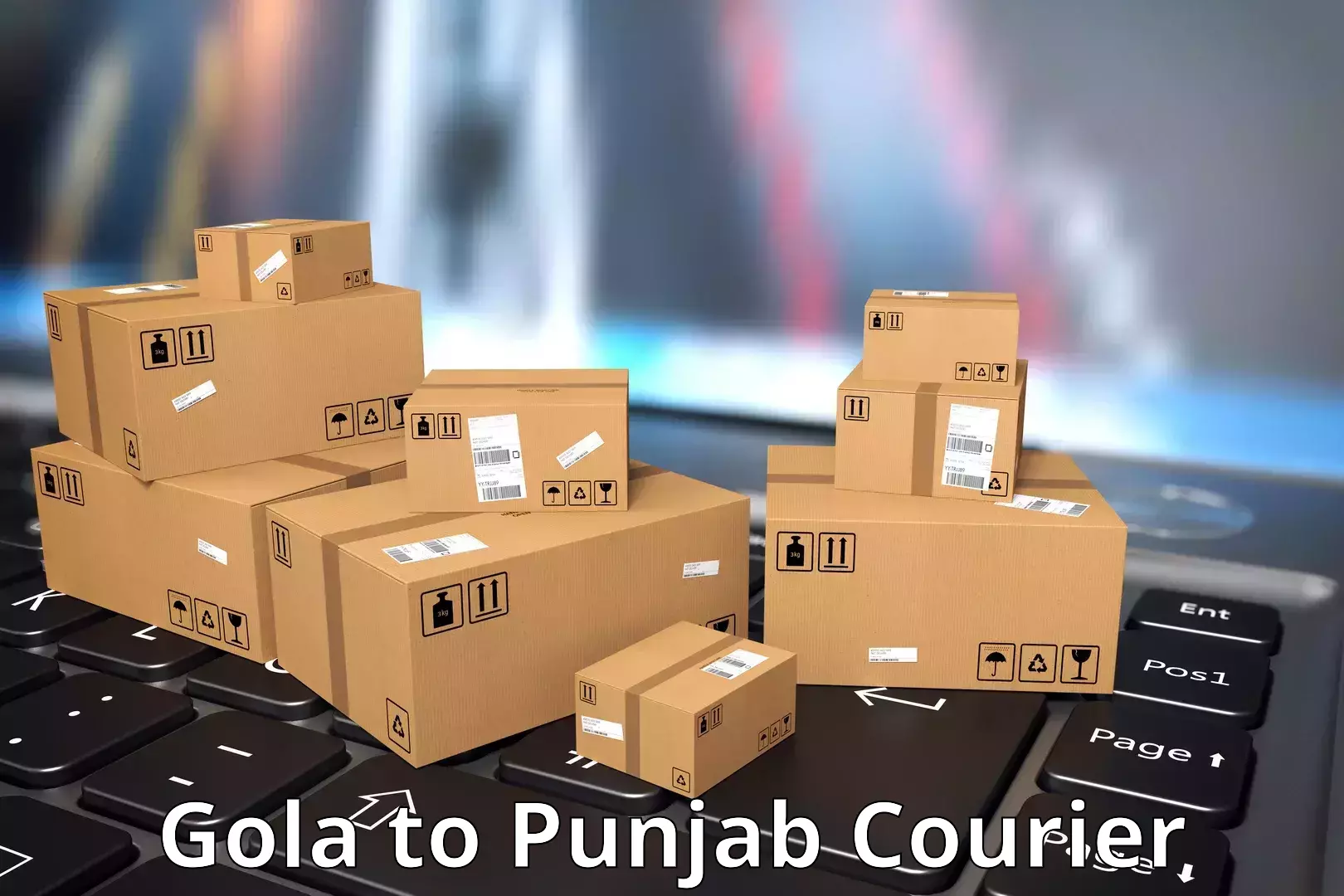 Bulk courier orders in Gola to Raikot