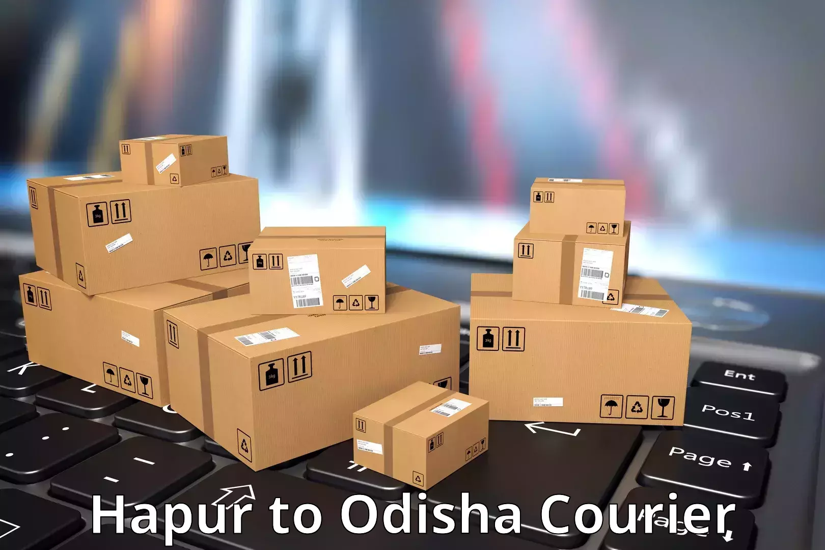 On-call courier service Hapur to Odisha