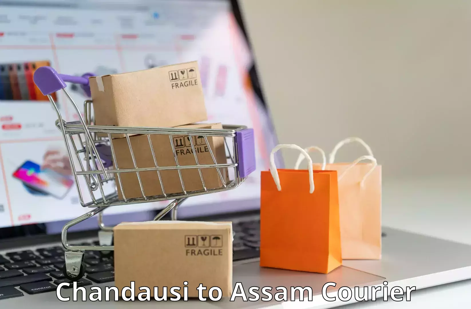 High-speed parcel service Chandausi to Assam