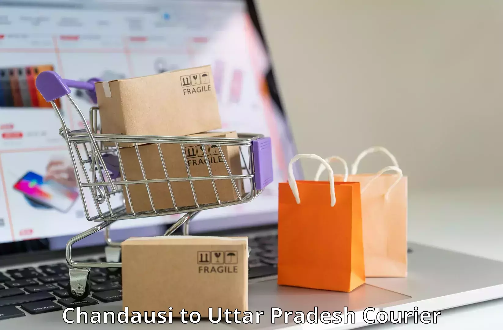 Courier service efficiency Chandausi to Uttar Pradesh