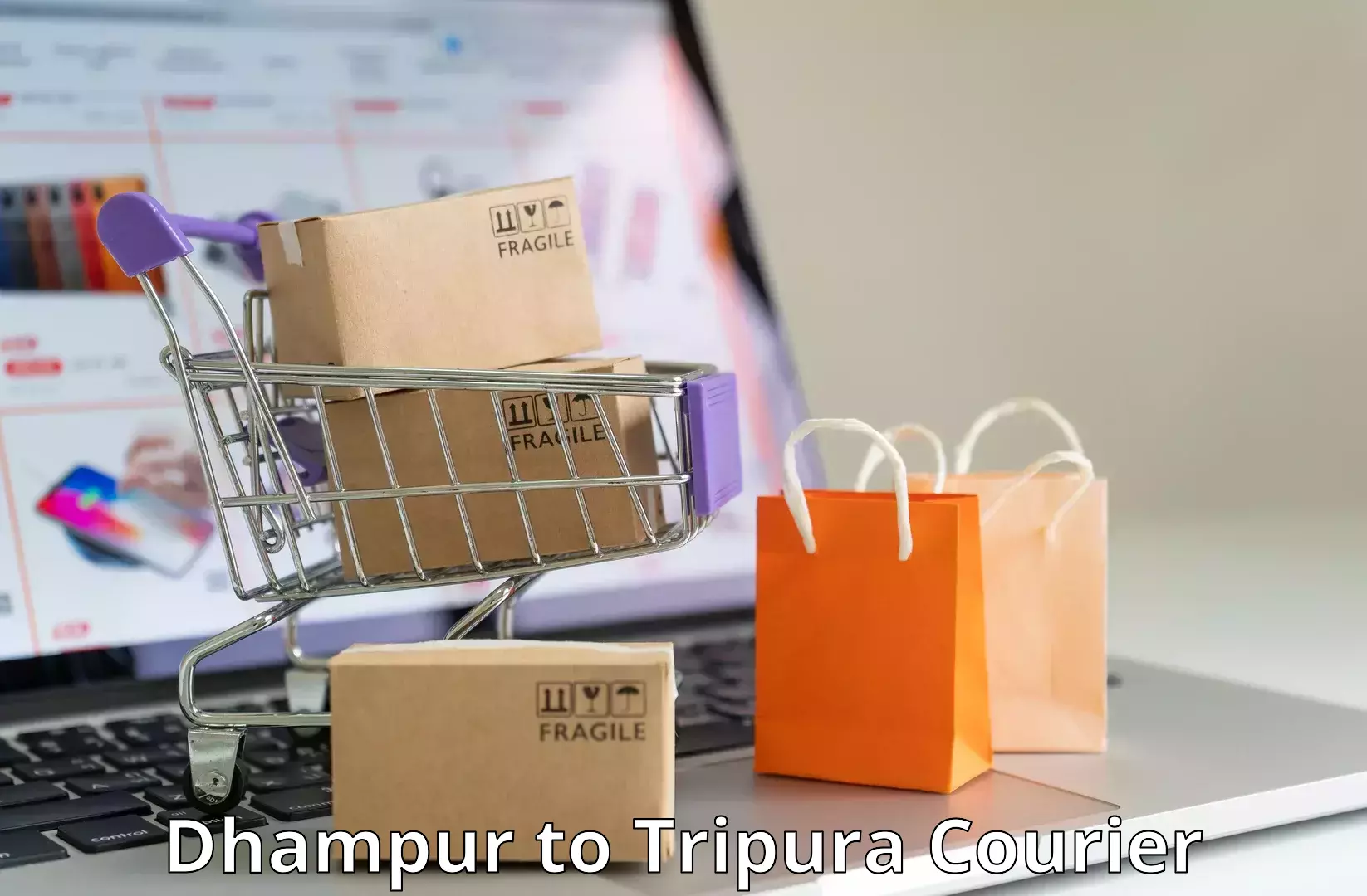 Efficient order fulfillment Dhampur to Tripura