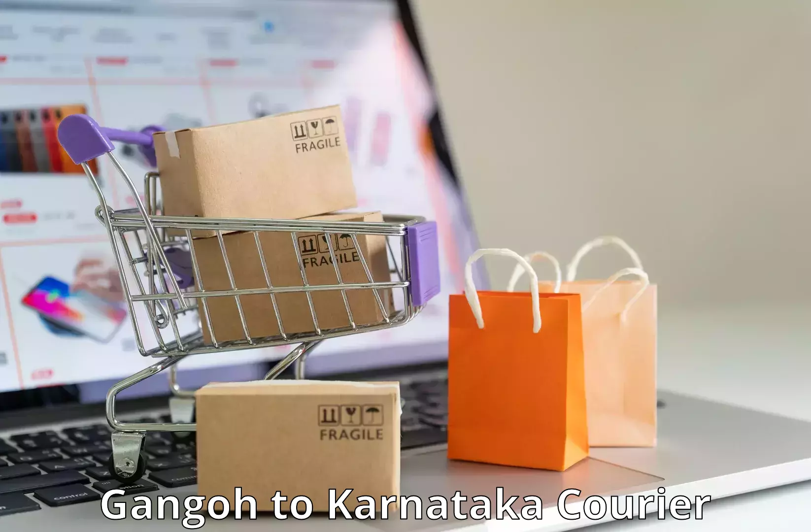 Custom courier strategies Gangoh to Dakshina Kannada