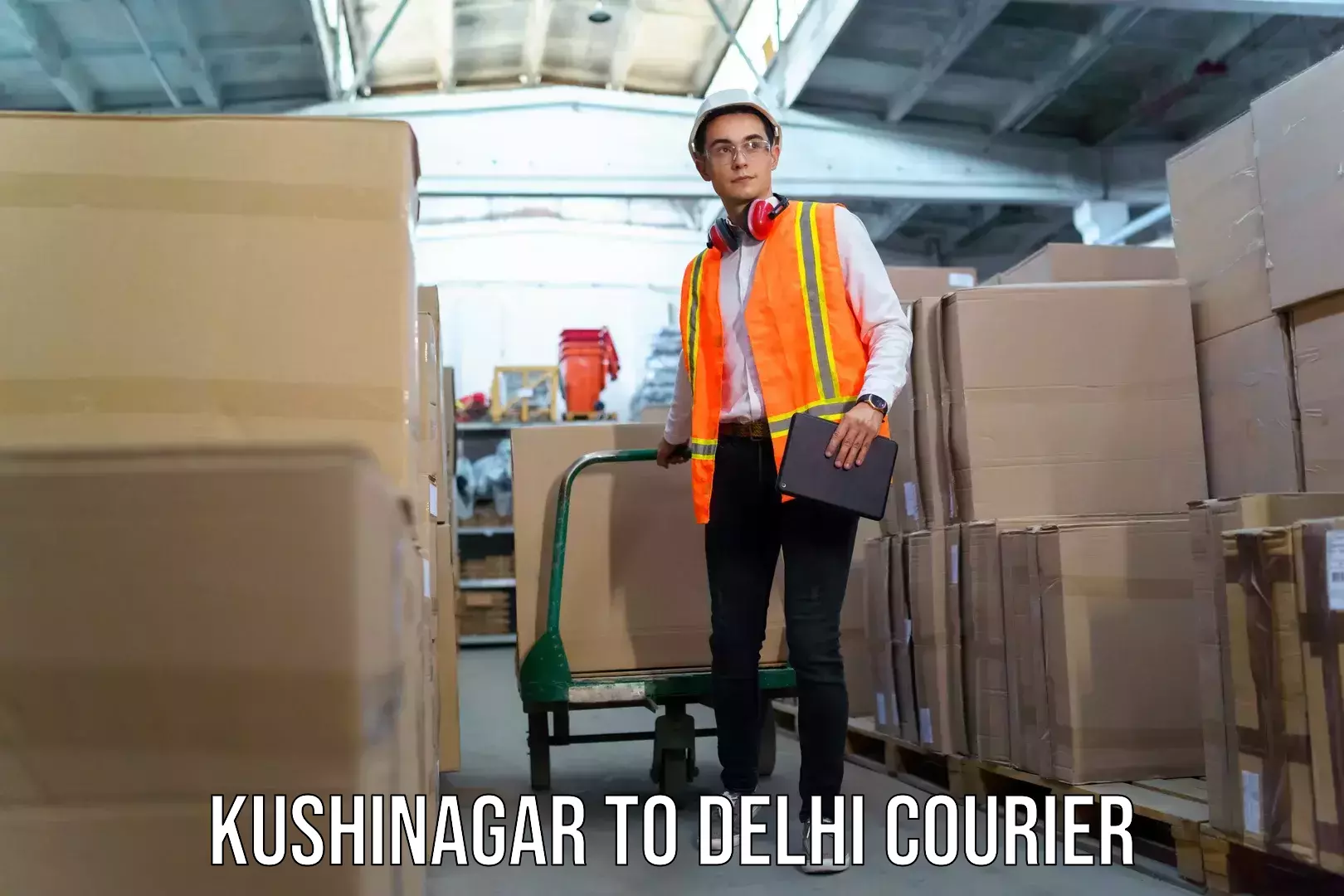 Luggage transport service Kushinagar to IIT Delhi