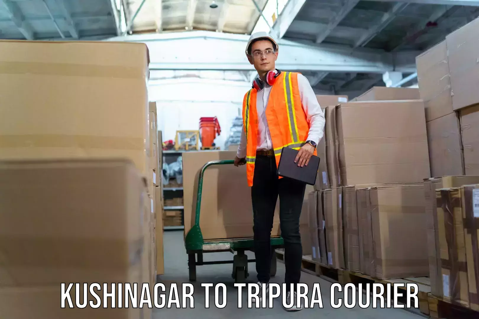 Luggage shipping trends Kushinagar to Udaipur Tripura