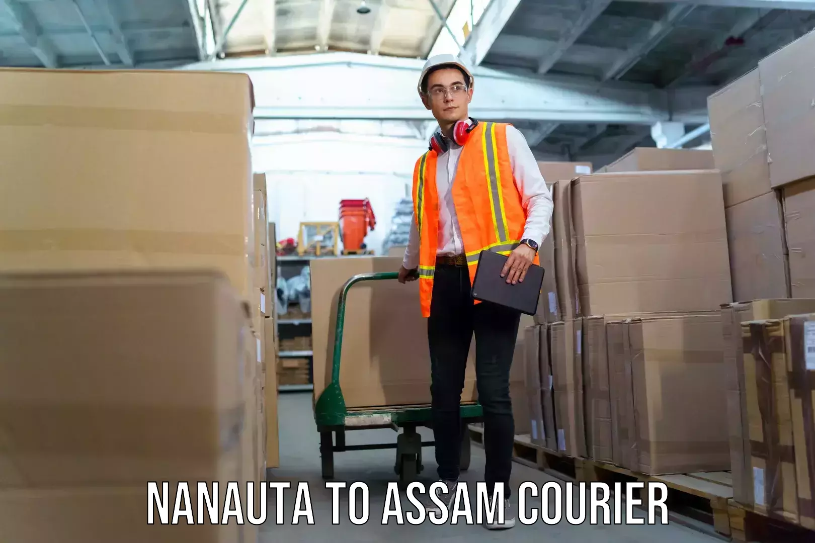 Streamlined baggage courier Nanauta to Digboi