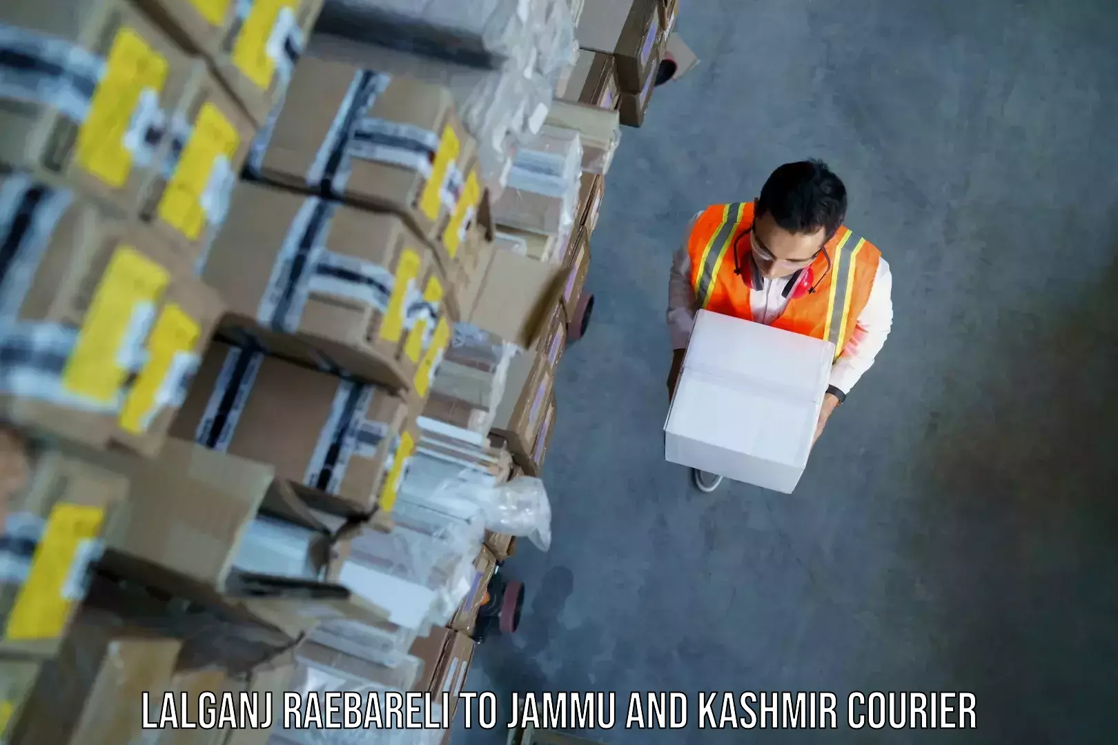 Baggage shipping logistics Lalganj Raebareli to Jammu