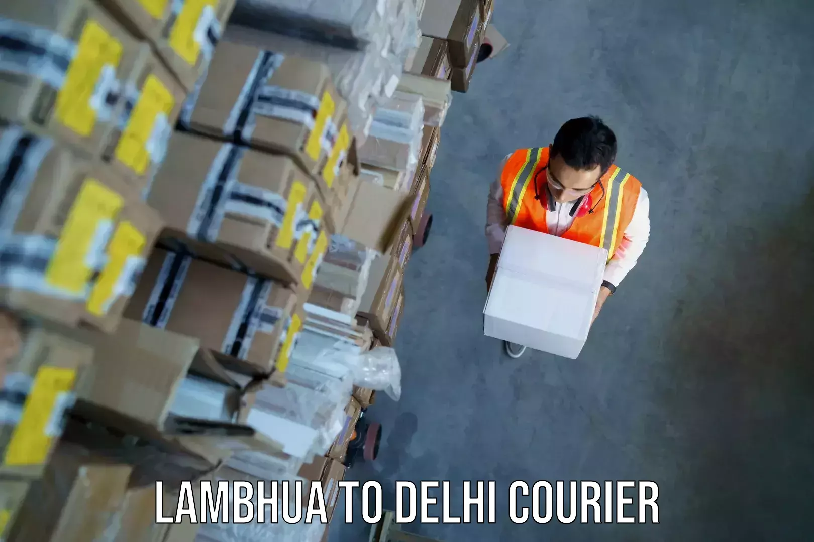 Electronic items luggage shipping Lambhua to University of Delhi