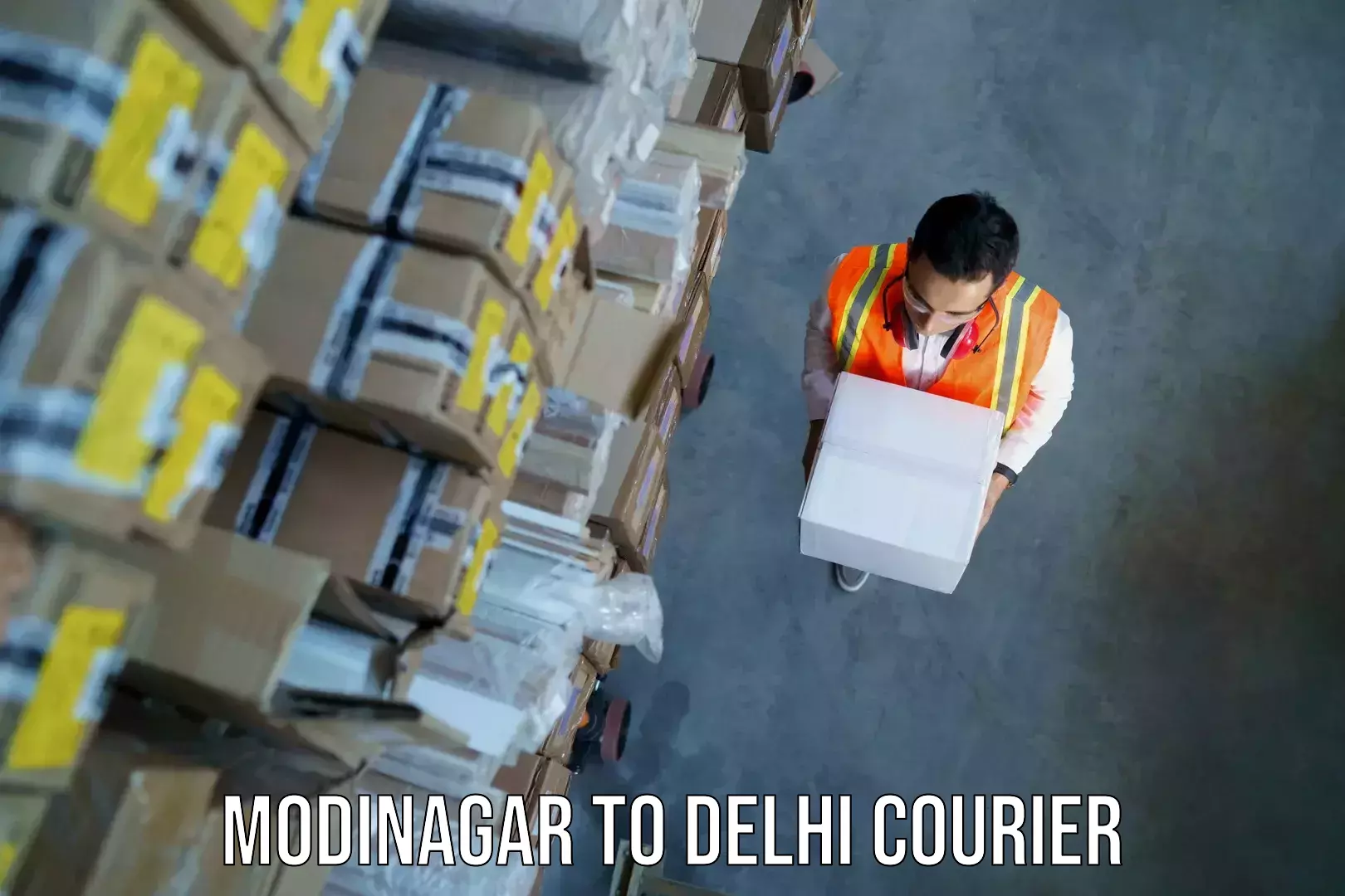 Luggage courier planning Modinagar to Indraprastha