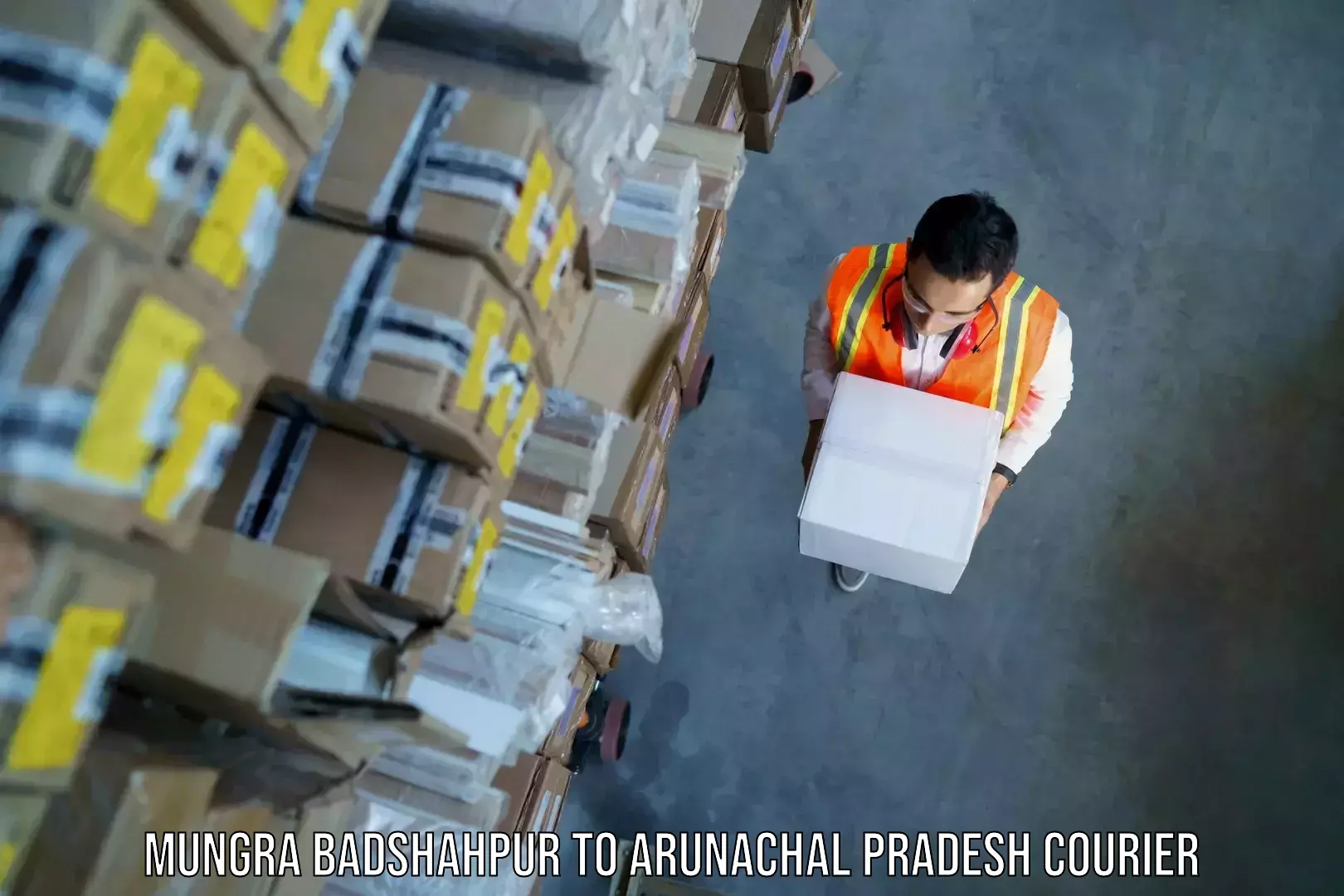 Baggage transport logistics Mungra Badshahpur to Nirjuli