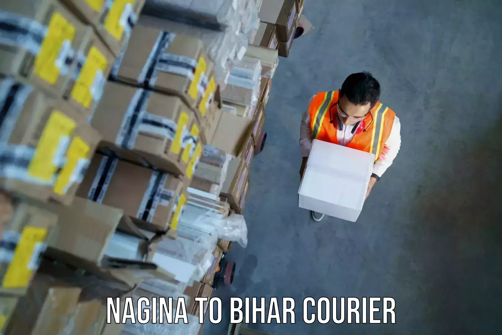 Baggage courier optimization Nagina to Arrah