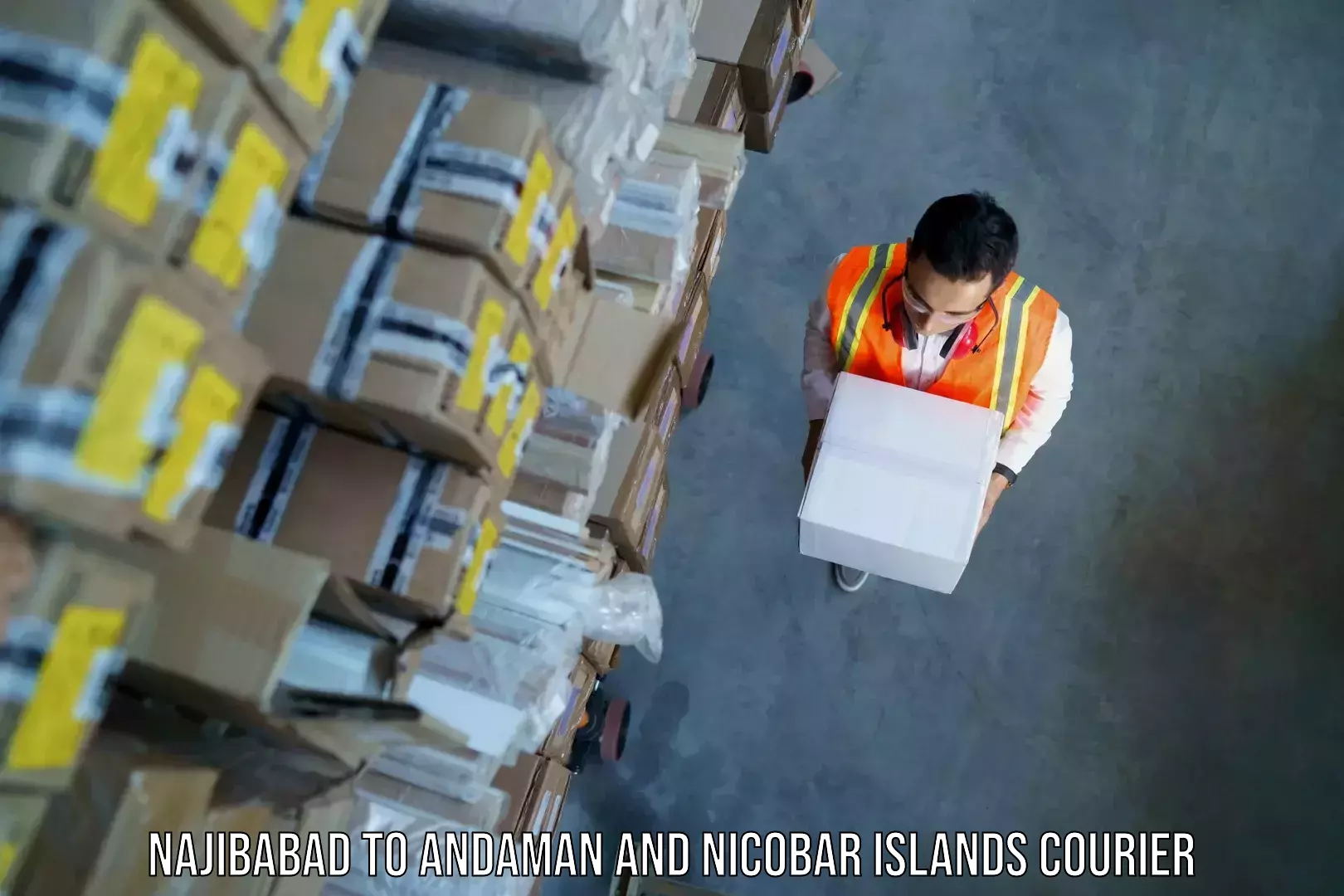 Luggage shipment logistics Najibabad to Nicobar