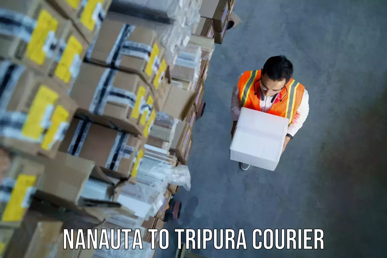 Hassle-free luggage shipping Nanauta to Tripura