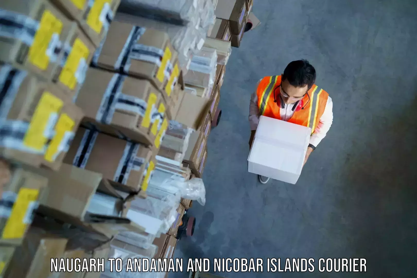 Reliable luggage courier Naugarh to Port Blair