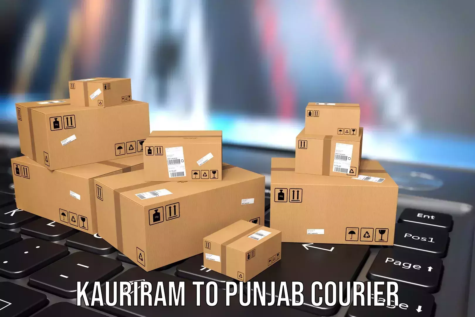 Baggage courier guide Kauriram to Firozpur