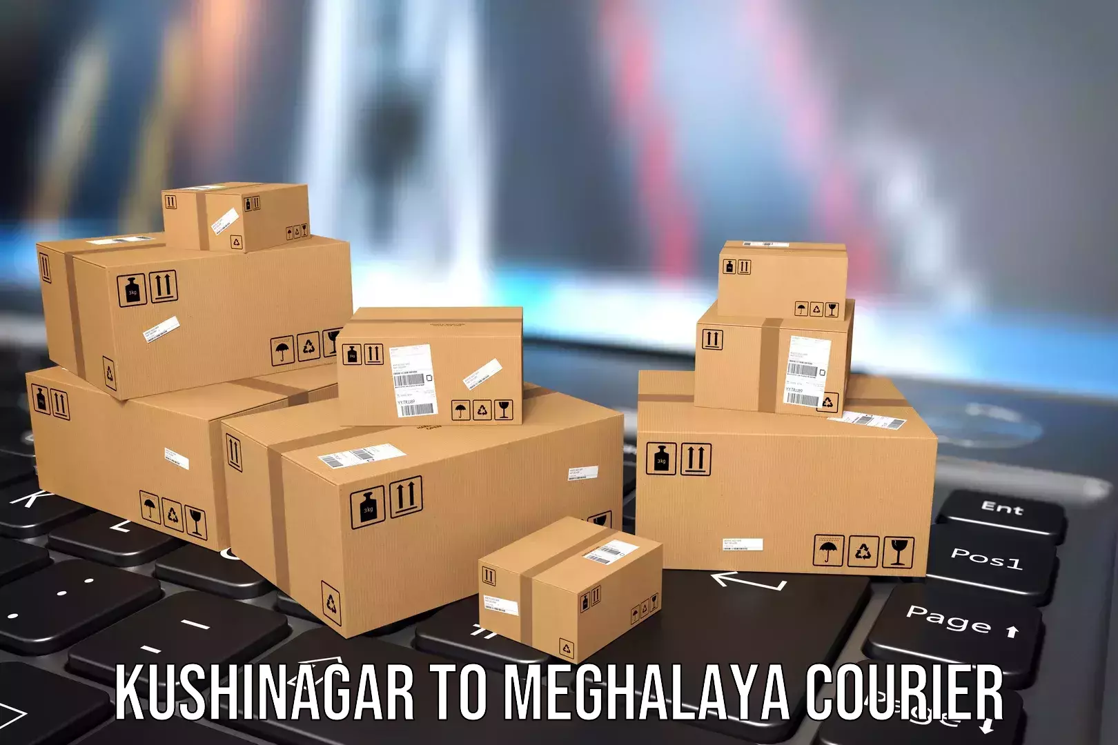 Luggage shipping planner Kushinagar to Meghalaya