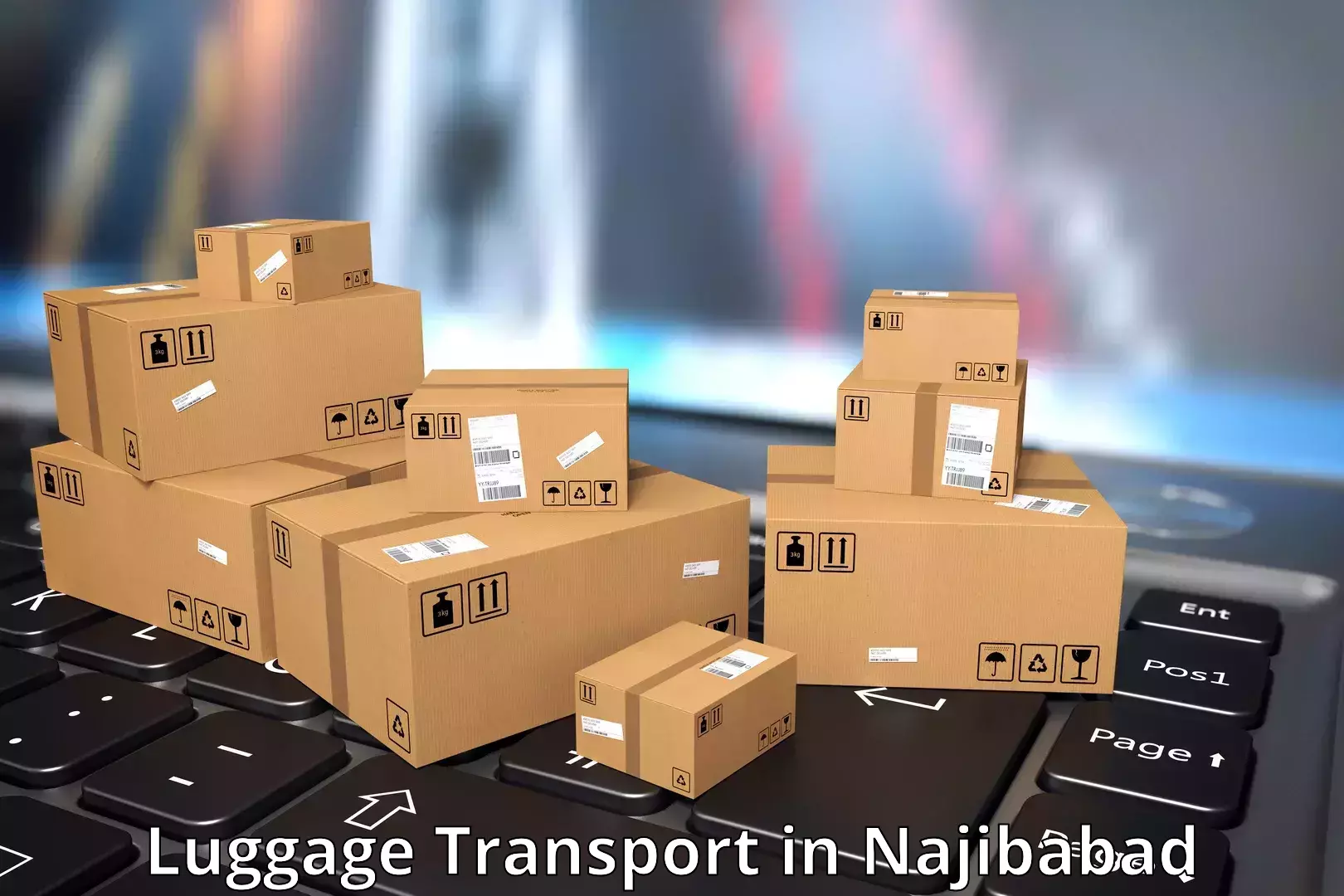 Student luggage transport in Najibabad