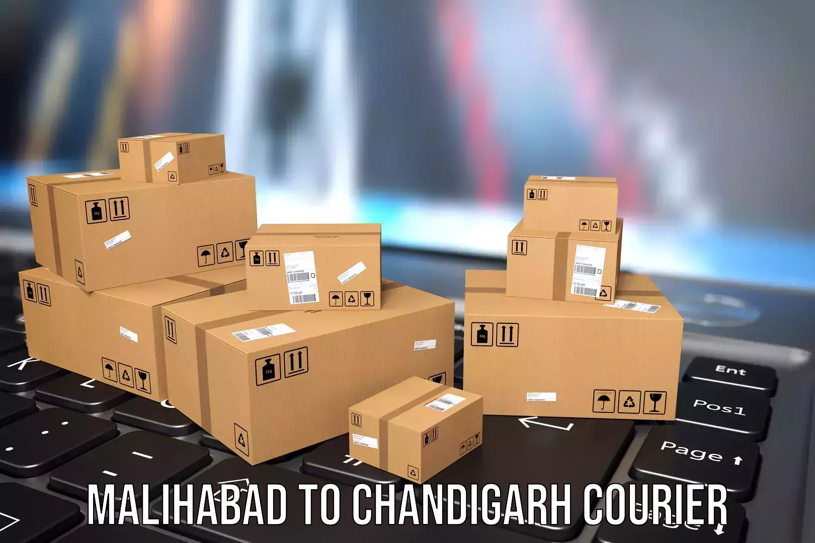 Versatile luggage courier Malihabad to Chandigarh