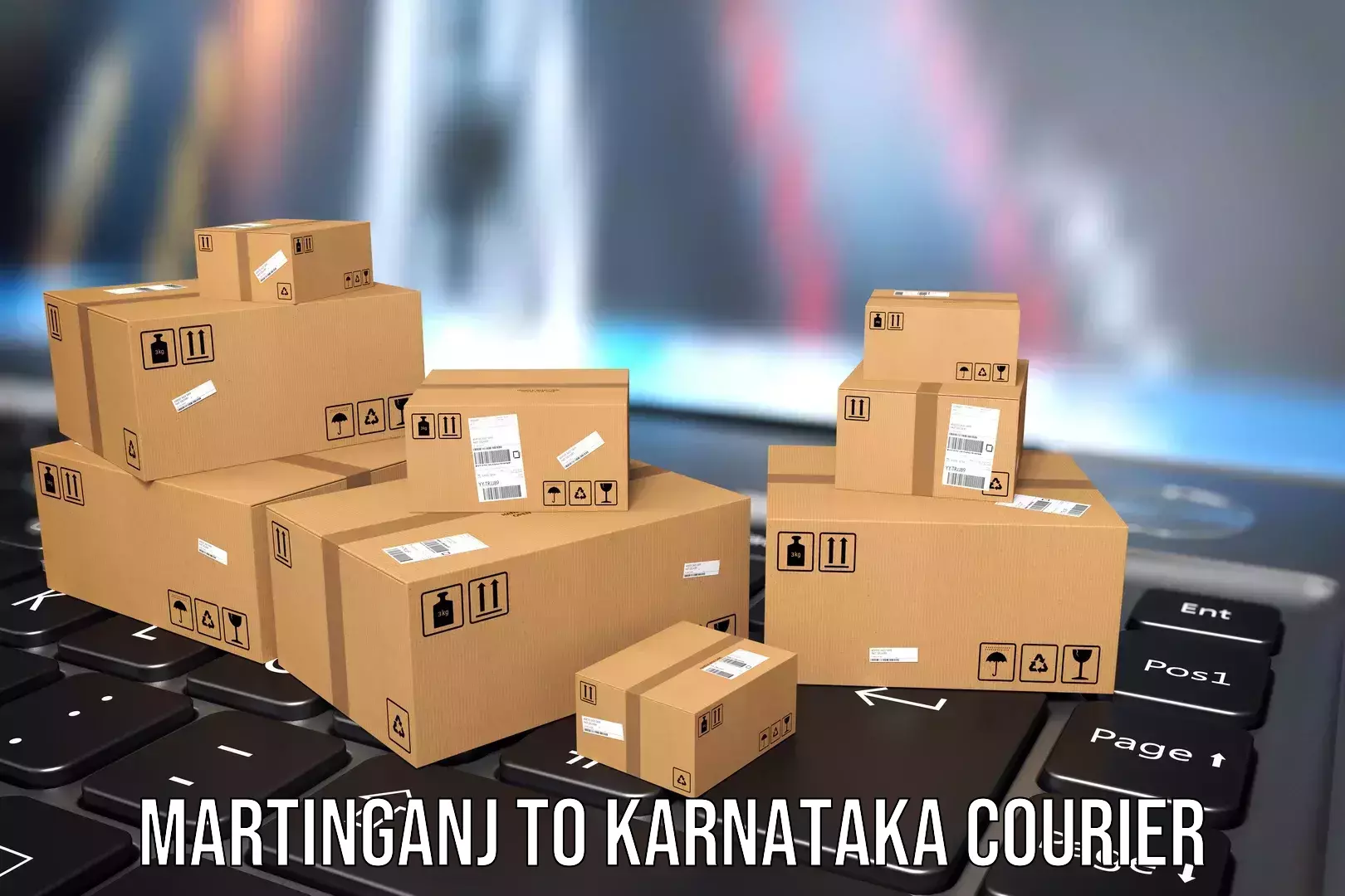 Baggage transport logistics Martinganj to Mandya