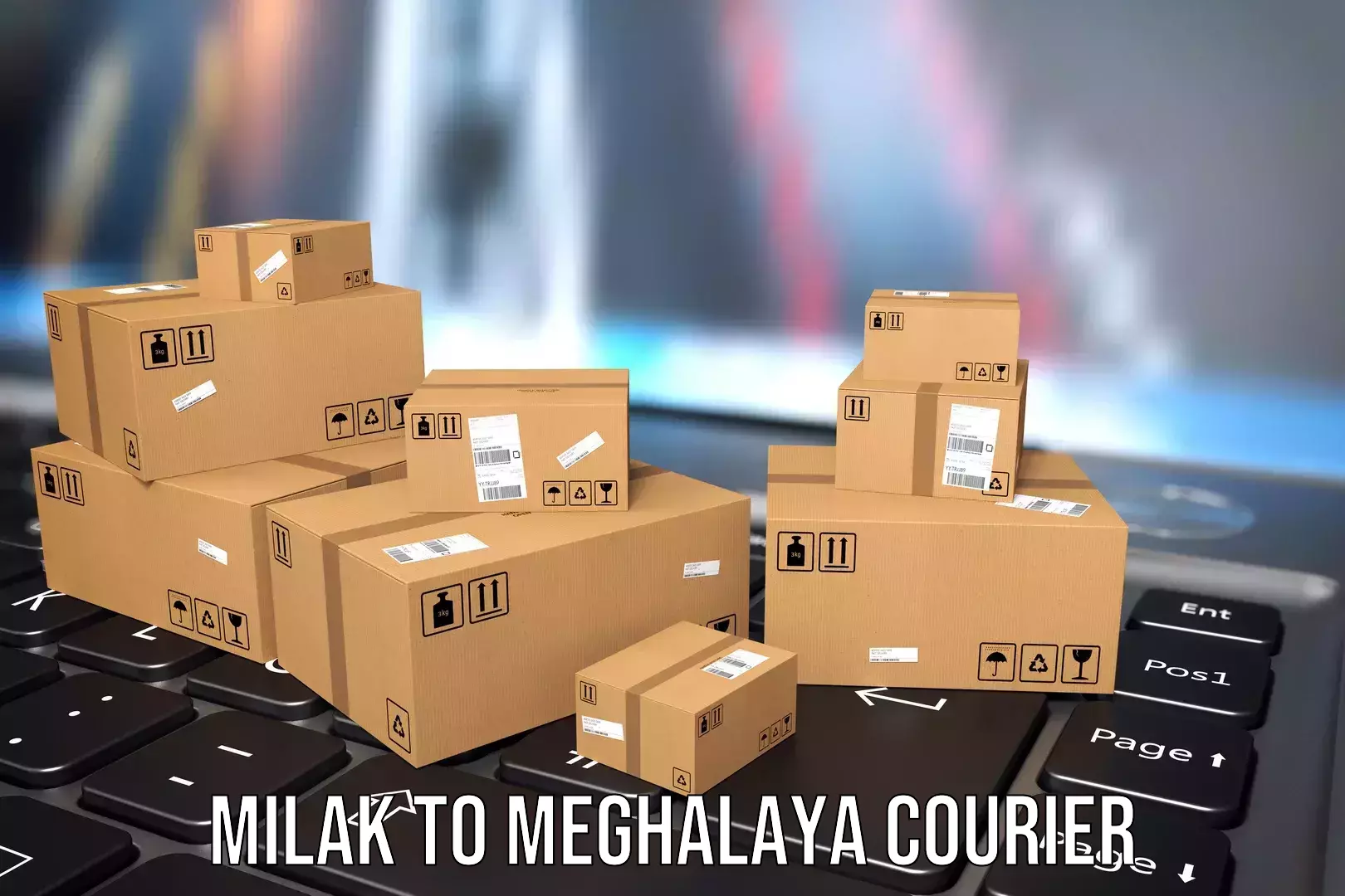 Baggage courier FAQs Milak to Williamnagar