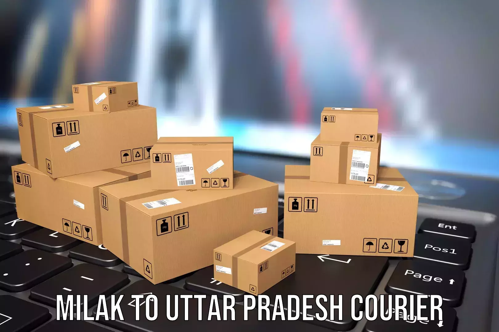 Nationwide luggage courier in Milak to Raebareli