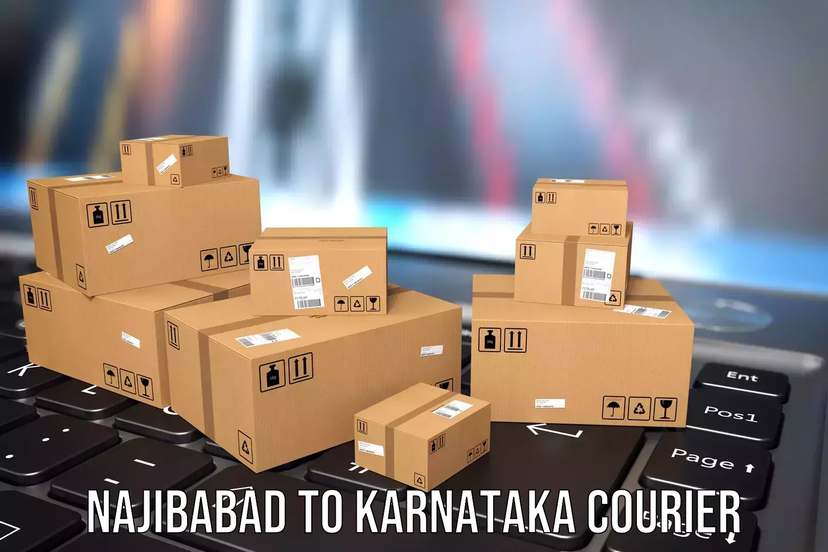 Baggage transport technology Najibabad to Karnataka