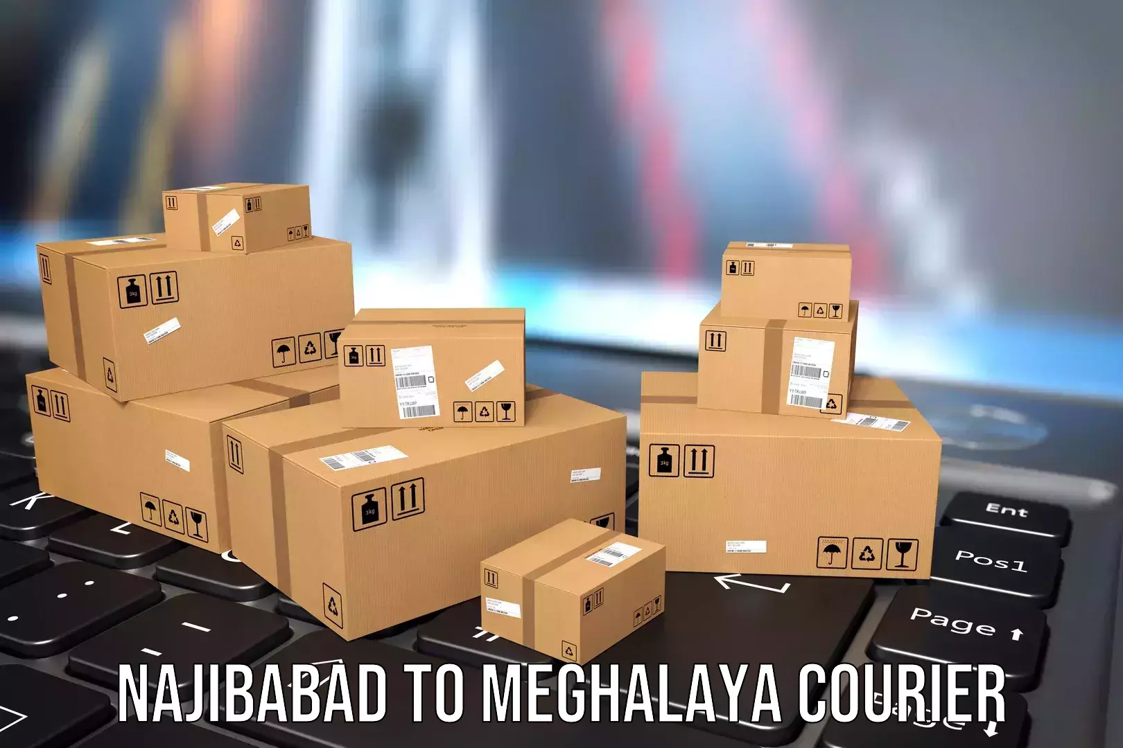 Door-to-door baggage service Najibabad to Meghalaya