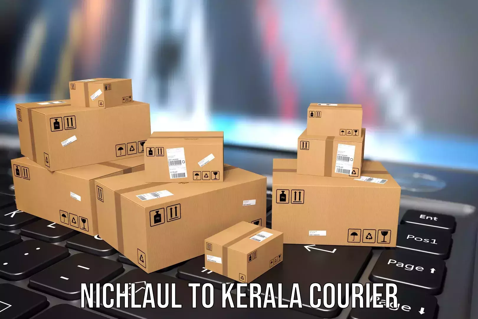 Luggage shipping rates Nichlaul to Rajamudy