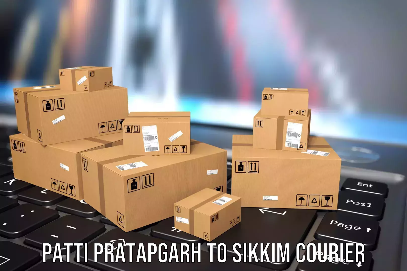 Hassle-free luggage shipping Patti Pratapgarh to Singtam