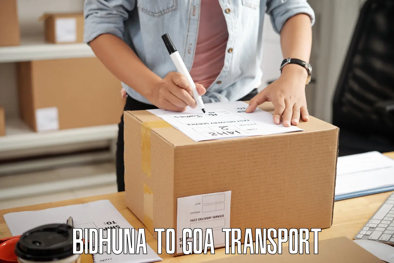 Air freight transport services Bidhuna to Goa