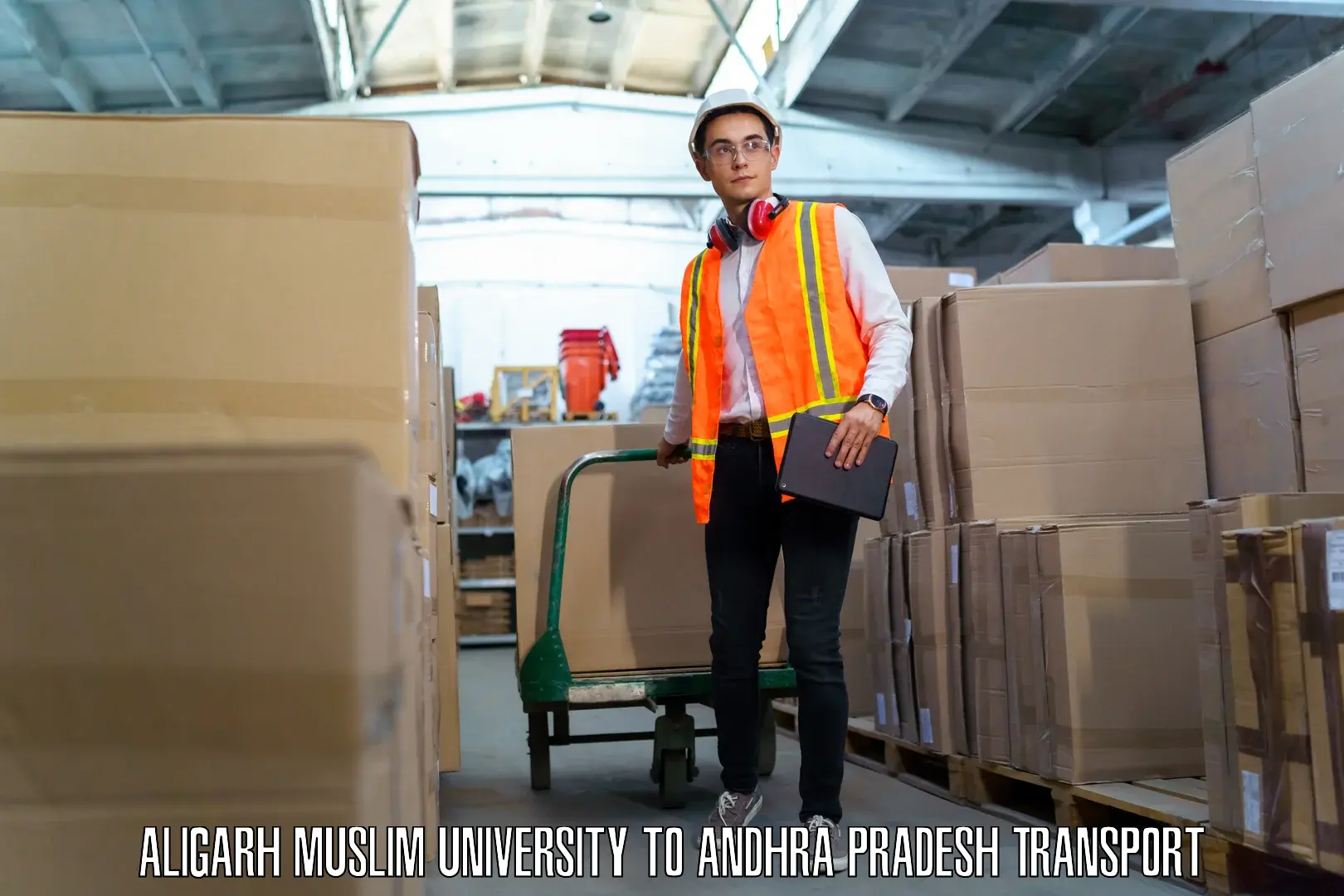 Cargo train transport services Aligarh Muslim University to Mandapeta