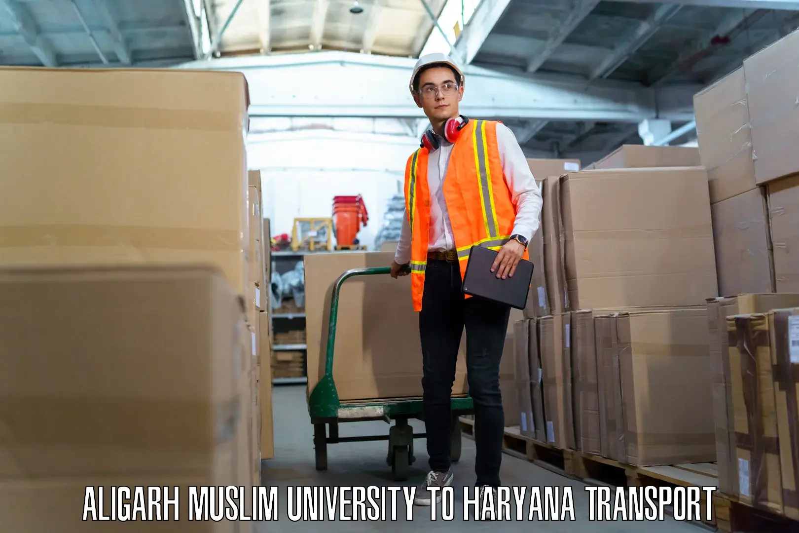 Container transport service Aligarh Muslim University to NCR Haryana