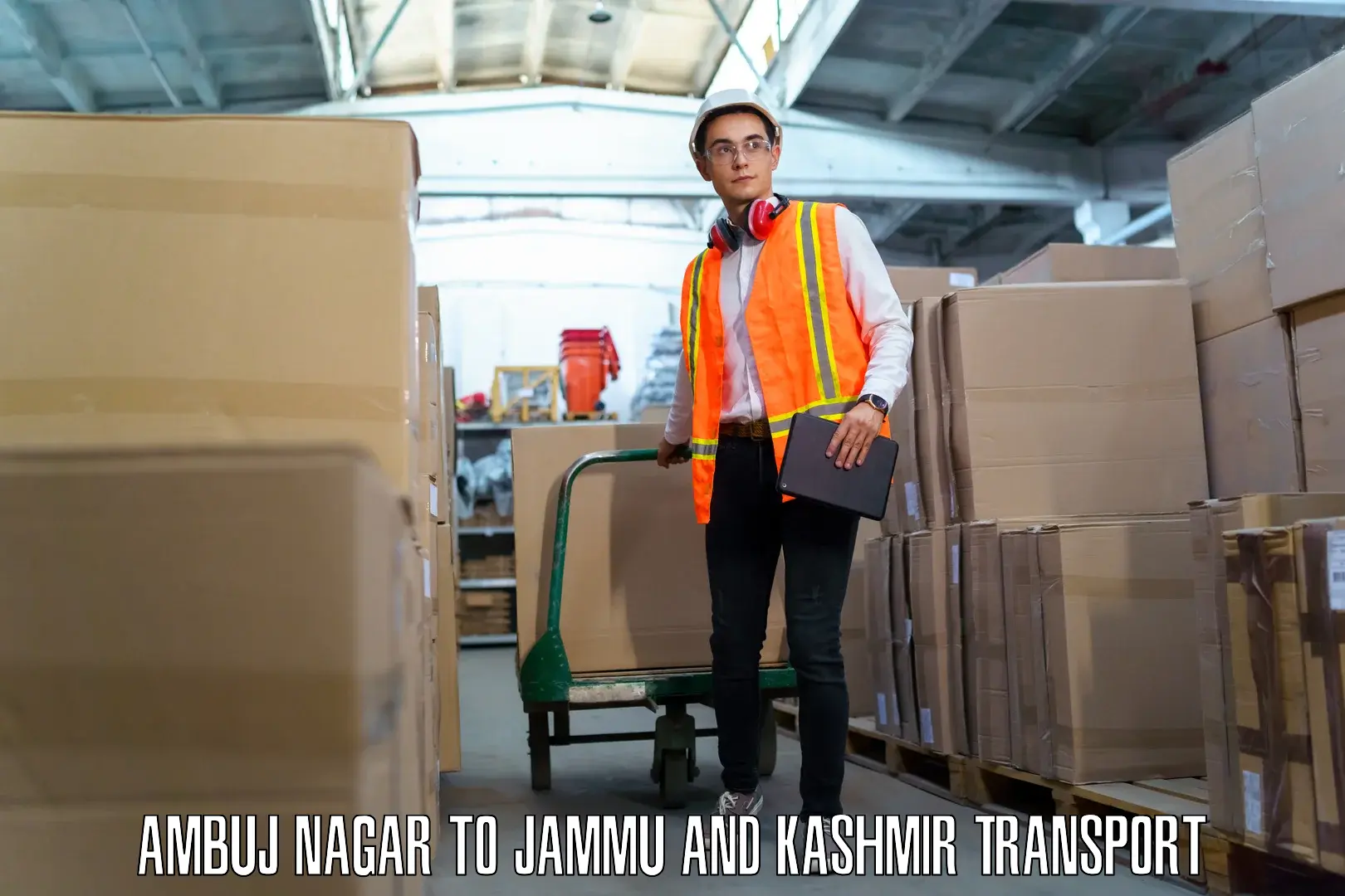 Package delivery services Ambuj Nagar to Jammu and Kashmir