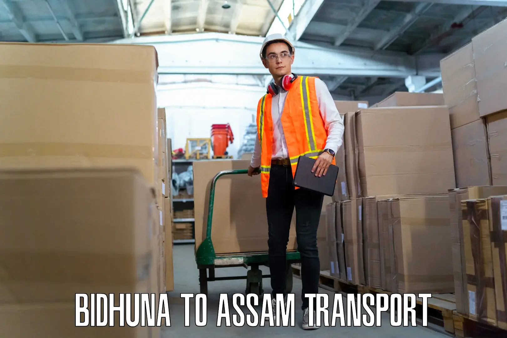 Shipping services Bidhuna to Bamunimaidan