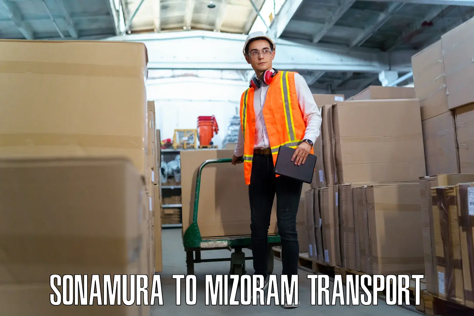 Air freight transport services Sonamura to Mamit