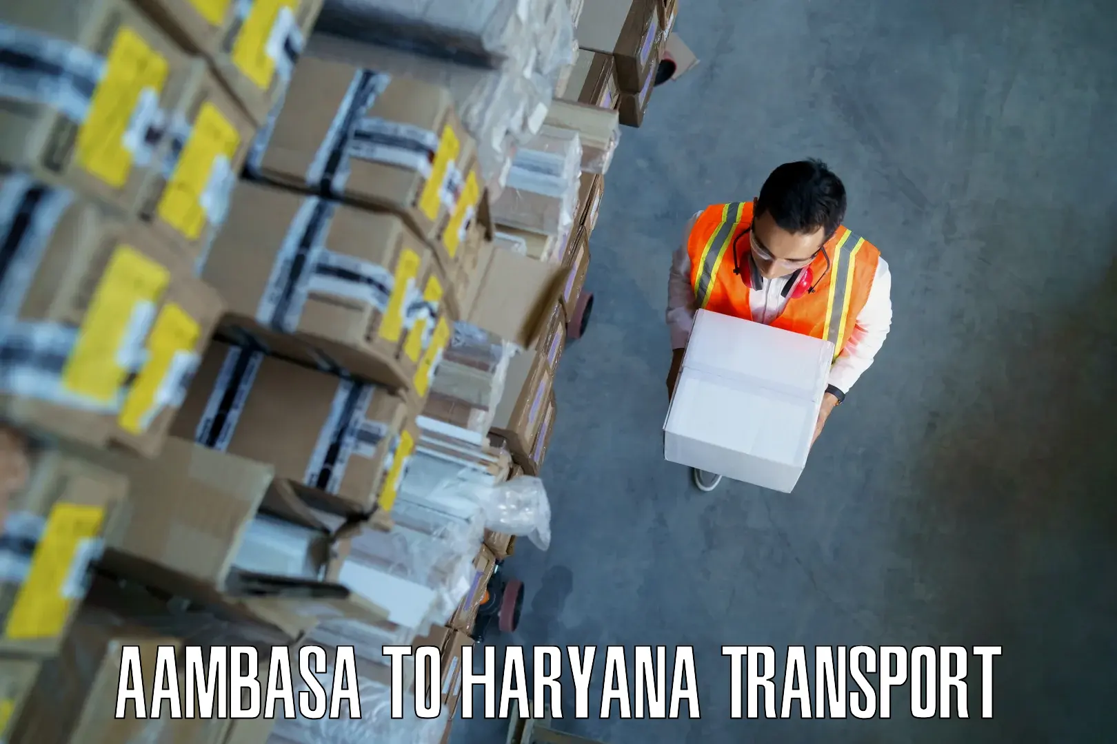 Two wheeler parcel service in Aambasa to Faridabad