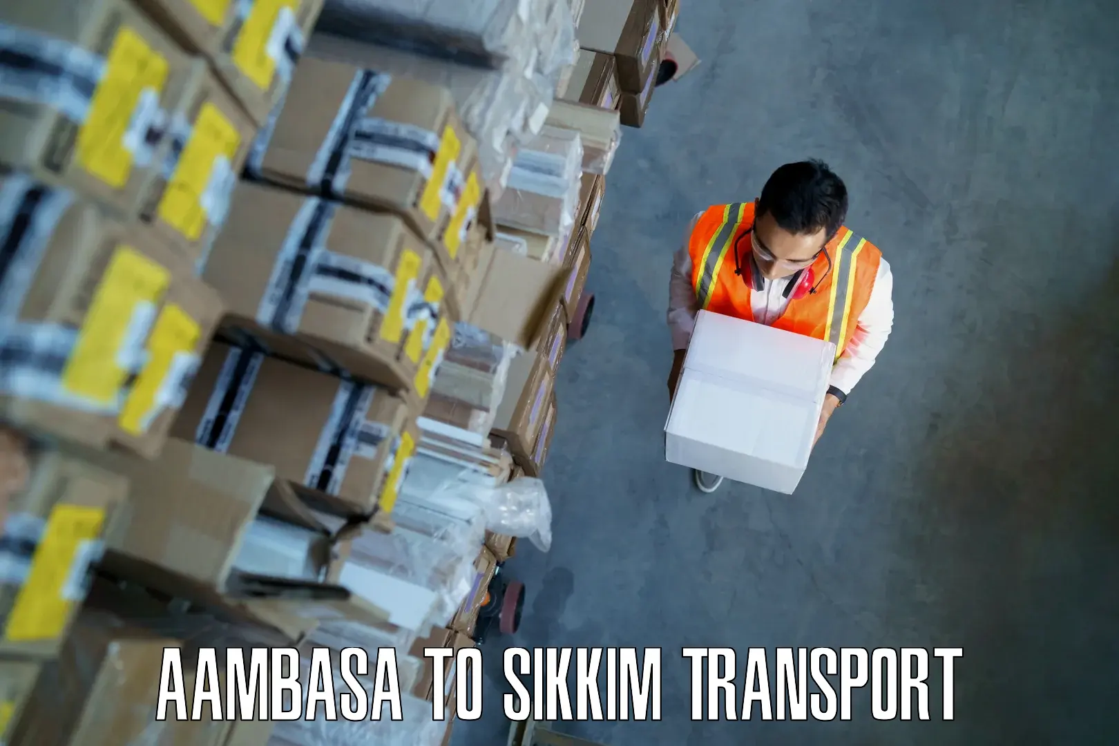 Air freight transport services Aambasa to Mangan