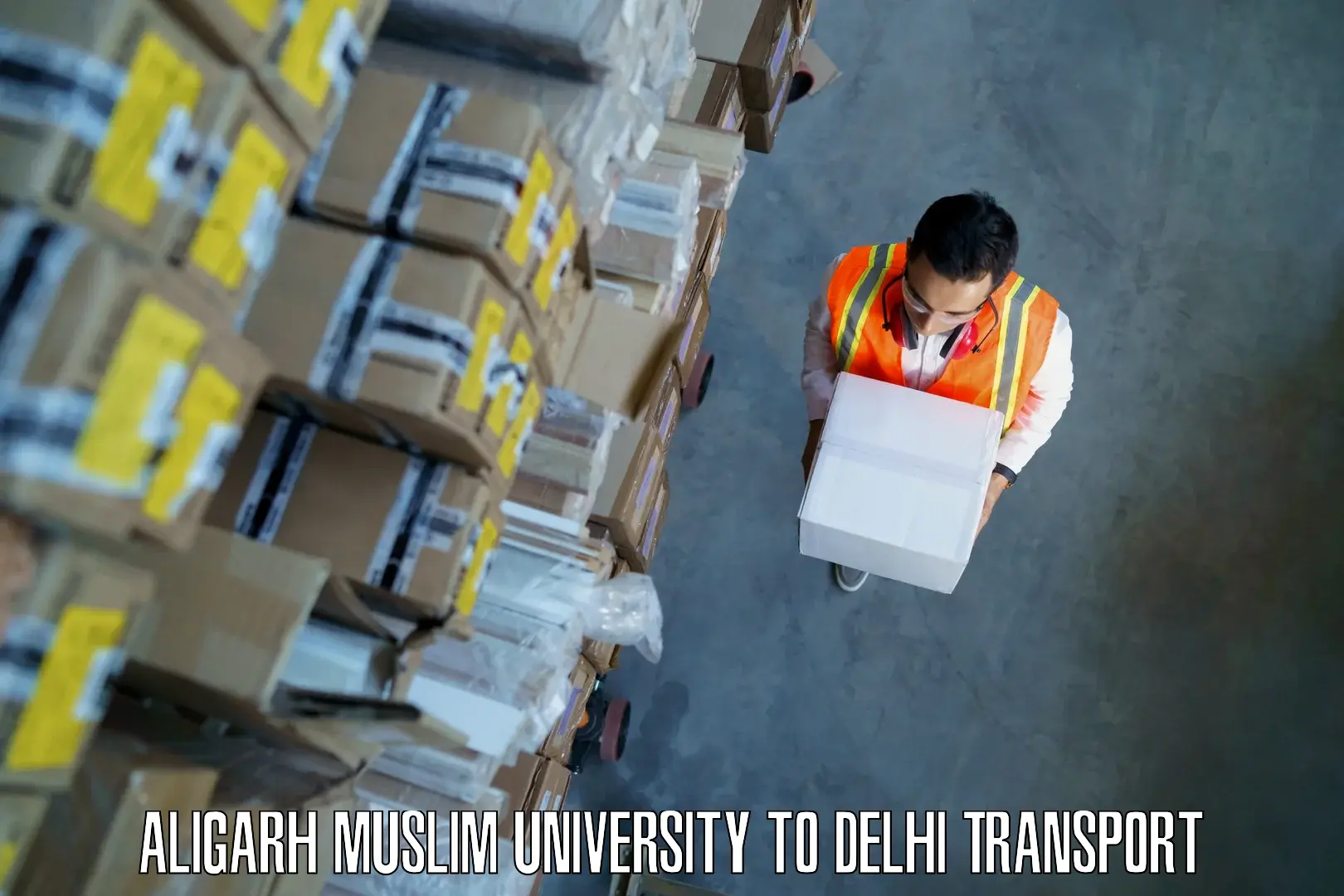 International cargo transportation services Aligarh Muslim University to Delhi
