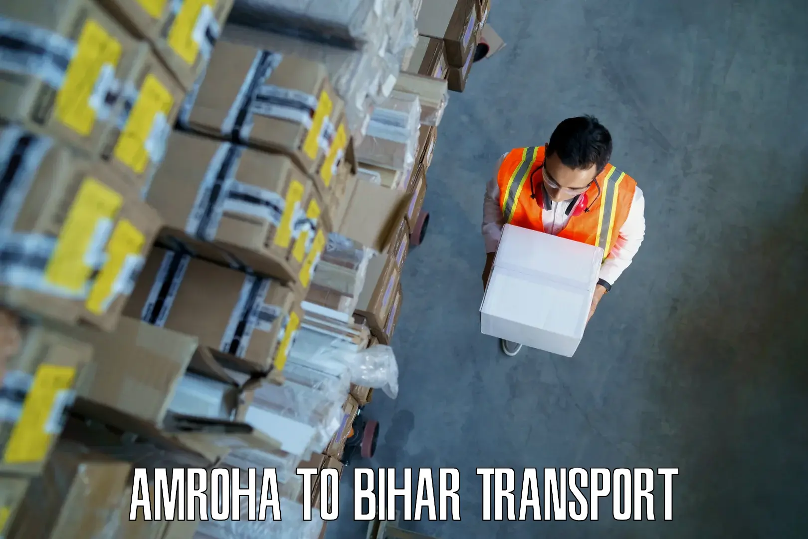 Container transport service Amroha to Hazrat Jandaha