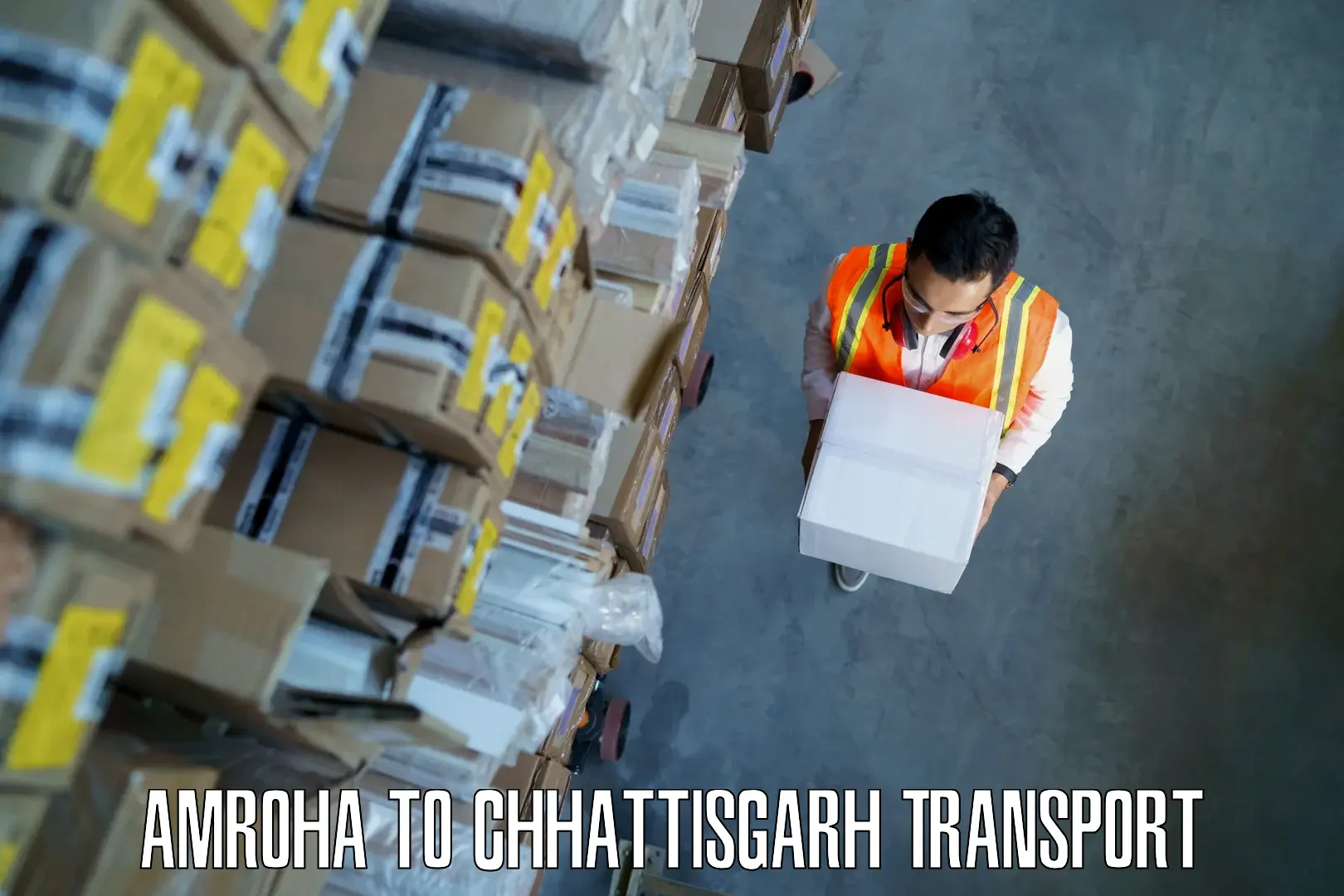 Transport services Amroha to Raigarh Chhattisgarh